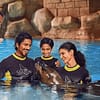 Dolphin Bay Experiences - Water Parks - Image 2