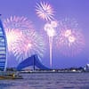 New Year's Eve Tour Special - Yellow Boats - Boat Tours and Cruises - Image 2