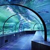 Viasea Aquarium & Crocodile Park Entrance - Theme Parks - Image 2