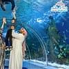 Fakieh Aquarium - Experiences - Image 2