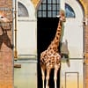 London Zoo: Entry Ticket - Recently Added Experiences - Image 3