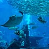 Oman Aquarium - Experiences - Image 2