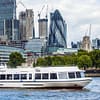Thames Cruise: Tower Bridge (Butler's Wharf Pier) To Greenwich with optional return - Boat Tours and Cruises - Image 2