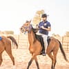 Horse Riding At Mleiha Arena - Sports Events - Image 2