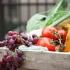 1-, 3-, 5-, 7- Or 14-Day Cleanse Plan At The Raw Place Abu Dhabi - Image 9