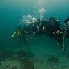 Dive Into Adventure With Diving Course Dubai - Image 10