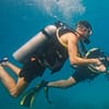 Dive Into Adventure With Diving Course Dubai - Image 11
