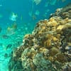 Dive Into Adventure With Diving Course Dubai - Image 15