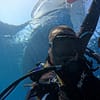 Dive Into Adventure With Diving Course Dubai - Image 2
