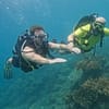 Dive Into Adventure With Diving Course Dubai - Image 4