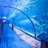 Dive Into The Ultimate Experience Adventure Packages! National Deal - Image 2