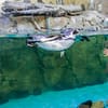 Dive Into The Ultimate Experience Adventure Packages! National Deal - Image 5