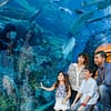 Dive Into The Ultimate Experience Adventure Packages! National Deal - Image 7