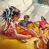 Dive With Fun: One Or Two Park Pass With Abudhabi Tour At Rs Tourism! National Deal - Image 16