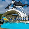 Dive With Fun: One Or Two Park Pass With Abudhabi Tour At Rs Tourism! National Deal - Image 2