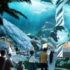 Dive With Fun: One Or Two Park Pass With Abudhabi Tour At Rs Tourism! National Deal - Image 5