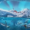 Dive With Fun: One Or Two Park Pass With Abudhabi Tour At Rs Tourism! National Deal - Image 6