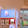 Dog / Cat Grooming From Best Veterinary Clinic In The Uae Award Winner Dubai - Image 13