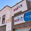 Dog / Cat Grooming From Best Veterinary Clinic In The Uae Award Winner Dubai - Image 17