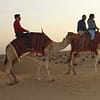 Experience A Desert Safari Adventure With Basic Or Vip Perks! Sharjah & N. Emirates - Image 2