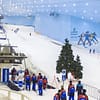 Img, Miracle Garden, Global Village, Ski Snow Classic, Or Plus Ticket Dubai - Image 5