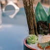 Indulge In A Japanese Brunch Extravaganza With Free-Flowing Beverages! Dubai - Image 4