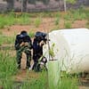 Paintball Experience National Deal - Image 5
