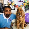 Pet Boarding Dubai - Image 6