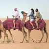 Self-Drive Desert Safari Package Dubai - Image 2