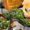 Sip And Savour: Premium Italian / Seafood Night With Soft Drinks Abu Dhabi - Image 4