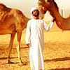 Tour - Bus Abu Dhabi - Image 4