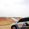 Tour - Bus Abu Dhabi - Image 5