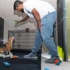 Treat Your Pet To The Ultimate Vip Experience Dubai - Image 2