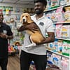 Treat Your Pet To The Ultimate Vip Experience Dubai - Image 3