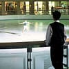 Twirl, Glide, And Disco: Two-Hour Ice Skating Session With Skate Hire Dubai - Image 3