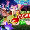 Up To 8% Off On At Peace Land Travel And Tourism Dubai - Image 2