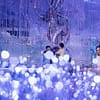 Up To 8% Off On At Peace Land Travel And Tourism Dubai - Image 4