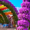 Up To 8% Off On At Peace Land Travel And Tourism Dubai - Image 7