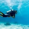 Vip Scuba Diving Tour Dubai - Image 2