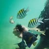 Vip Scuba Diving Tour Dubai - Image 3