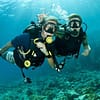 Vip Scuba Diving Tour Dubai - Image 4