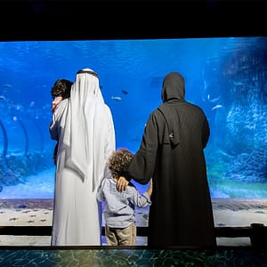 The National Aquarium Abu Dhabi Experiences