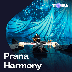 ToDA - Prana Harmony Theatre of Digital Art