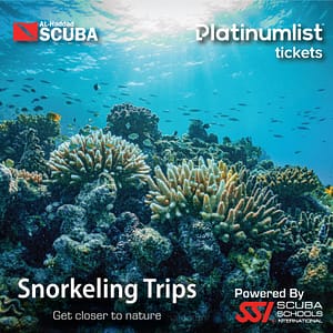 Snorkeling Daily Trips in Jeddah Attractions Special Offers