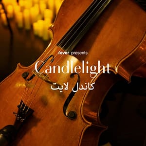 Candlelight: Vivaldi's Four Seasons and More at Meydene