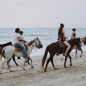 Horse Riding in Jeddah Experiences
