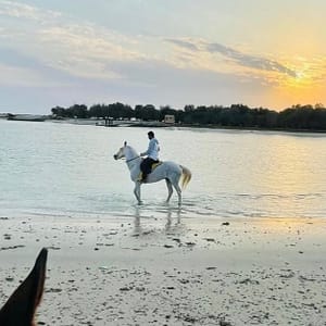 Horseback Riding By The Beach Dubai
