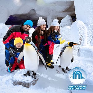 Ski Dubai: Snow Premium with Penguin Encounter + Free Al Shindagha Museum Ticket Must-see attractions