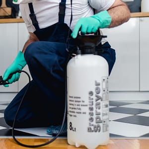 Up To 48% Off On At Bugxen Pest Control And Cleaning Services Llc Dubai
