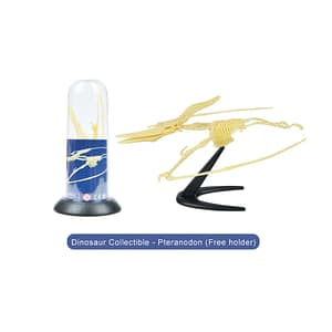 Build Your Own Collectible – Pteranodon – Mideer Build Your Own Collectible - Pteranodon Mideer Educational Toys